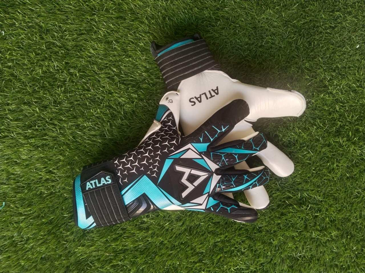 ATLAS 1GK - RNA